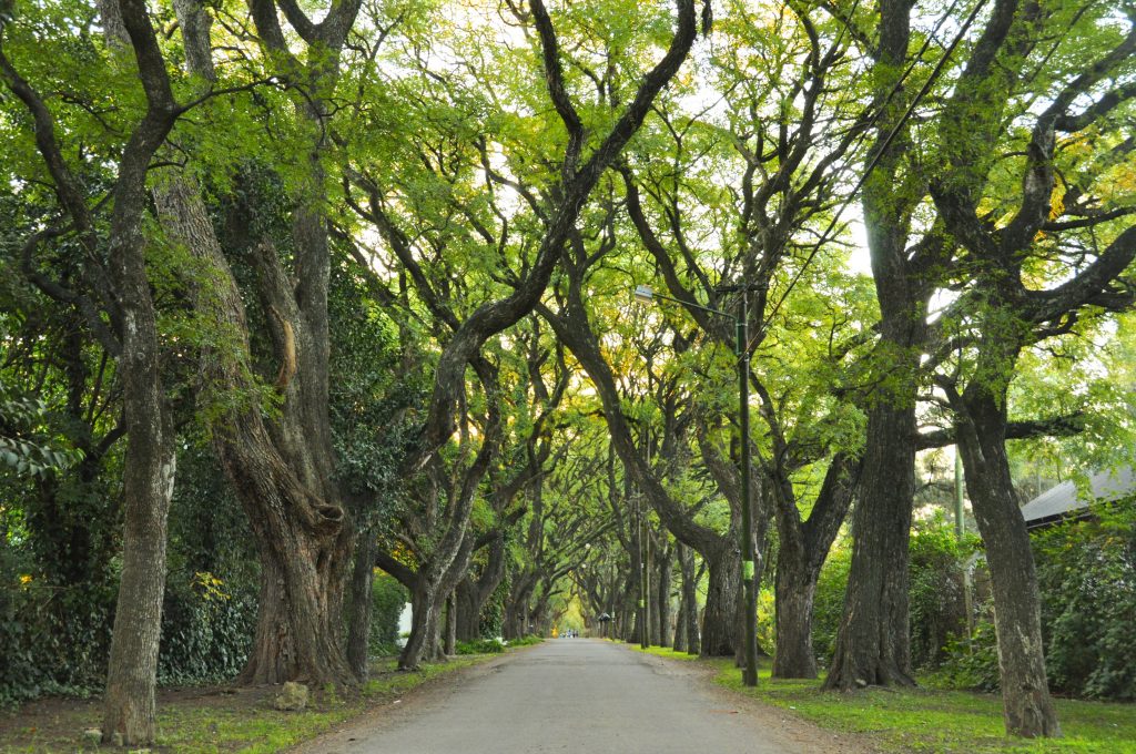 Parque Leloir Ituzaingo Credito miituzaingo.gov .ar Maria Josefina Severino