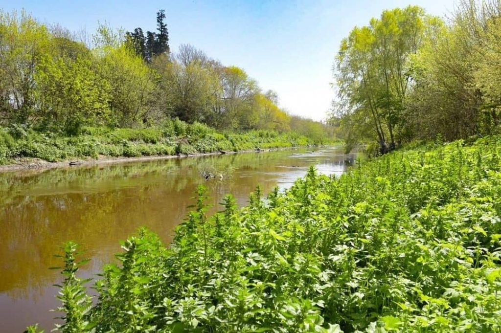 Reserva Natural Urbana Rio Reconquista Credito Facebook Ituzaingo es Ambiente Maria Josefina Severino