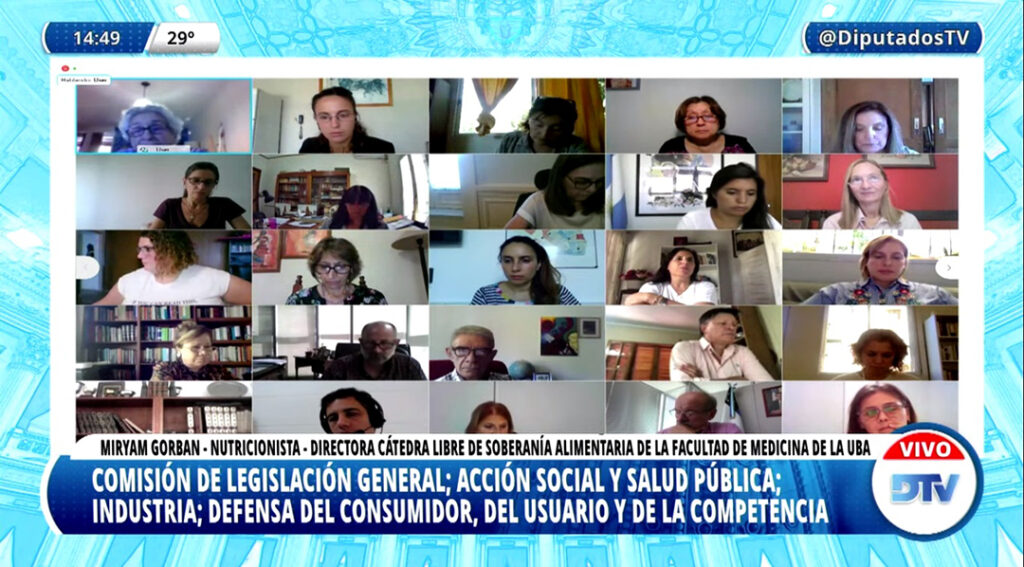 Reunion de comisiones Diputades Captura de pantalla de la transmision Maria Josefina Severino Maria Josefina Severino