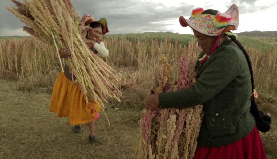 Sembradoras de vida Peru 21