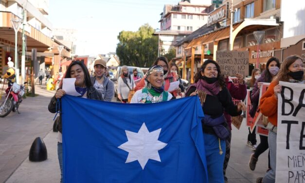 Mujeres indígenas denuncian terricidio
