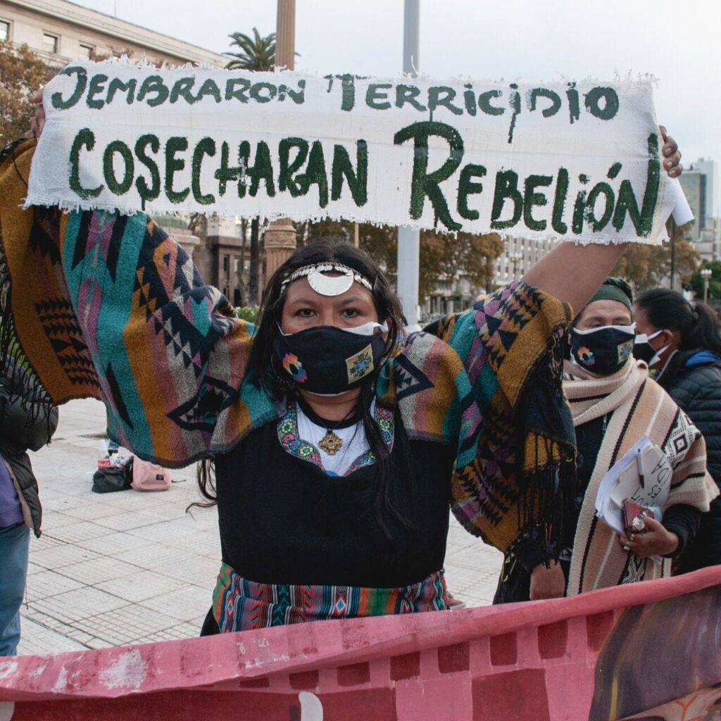 Foto 3 Sembraron Terricidio Cosecharan Rebelion Credito @MovimientodeMujeresIndigenasporelbuenvivir Paula Daguerre