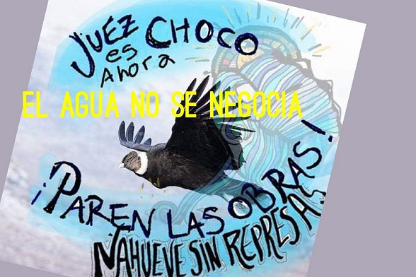 WhatsApp Image 2021 05 13 at 13.35.13 noelia acuna 1