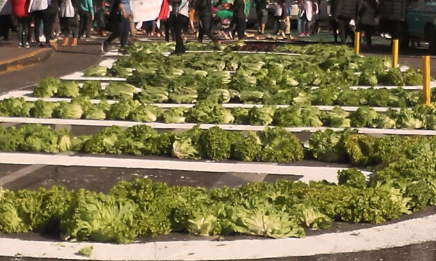 Verdurazo Federal: alimentos sanos y cooperativos