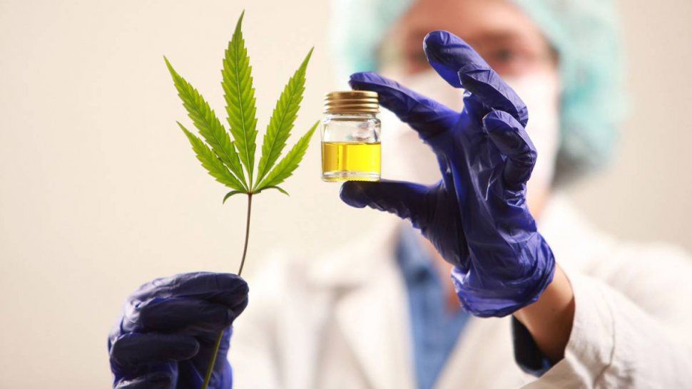 cannabis medicinal avanza el proyecto ley argentina Pablo Florines