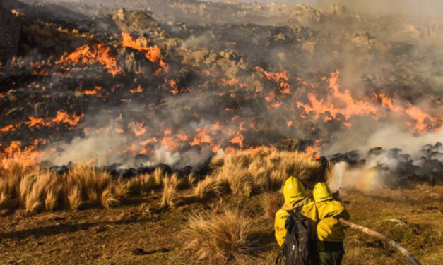 Incendios en Córdoba: causas y consecuencias ambientales
