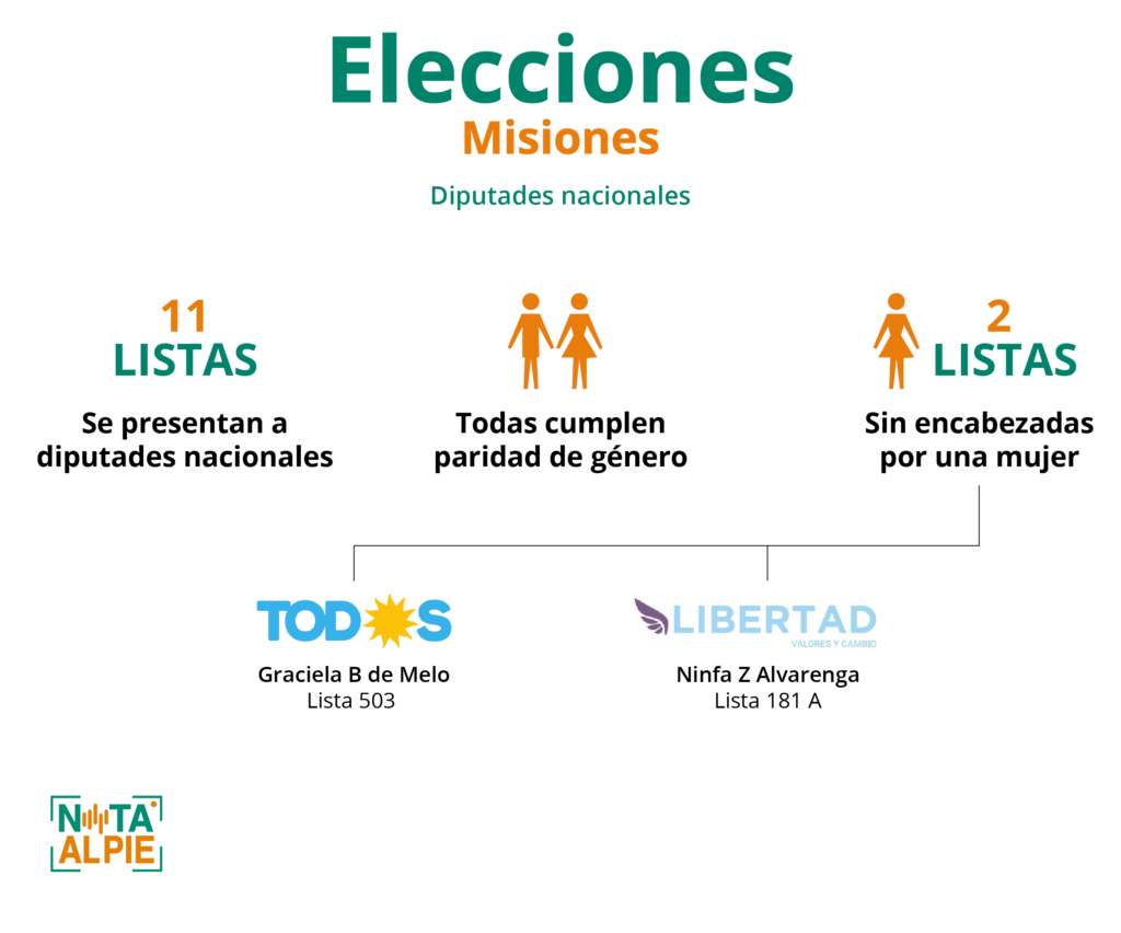 Elecciones misiones