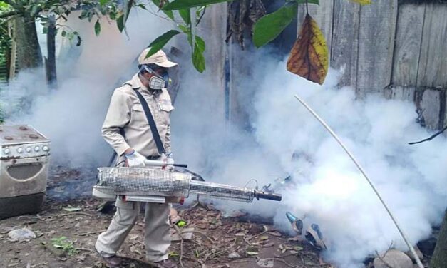 Dengue: especialistas piden extremar las medidas de prevención