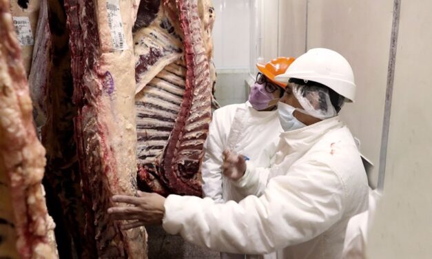 Se levantan algunas de las restricciones de la exportación de carne