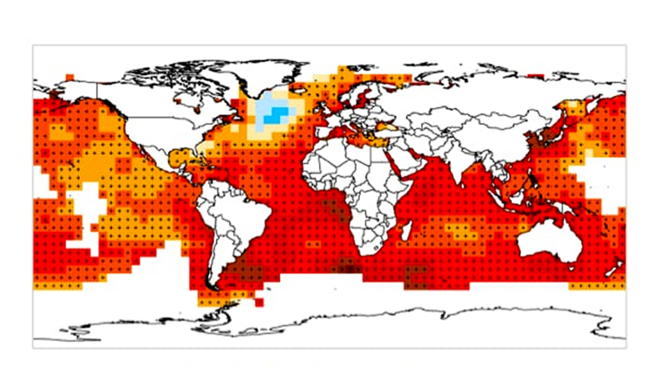 Imagen 1. Cambio de temperatura de la superficie del mar en los anos 1901 2012. Creditos. Mayra Nani para NAP Adrian Otero