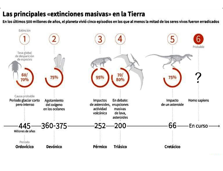 Imagen 3. Extinsiones masivas a lo largo de la historia. Credito. Mayra Nani para NAP Adrian Otero