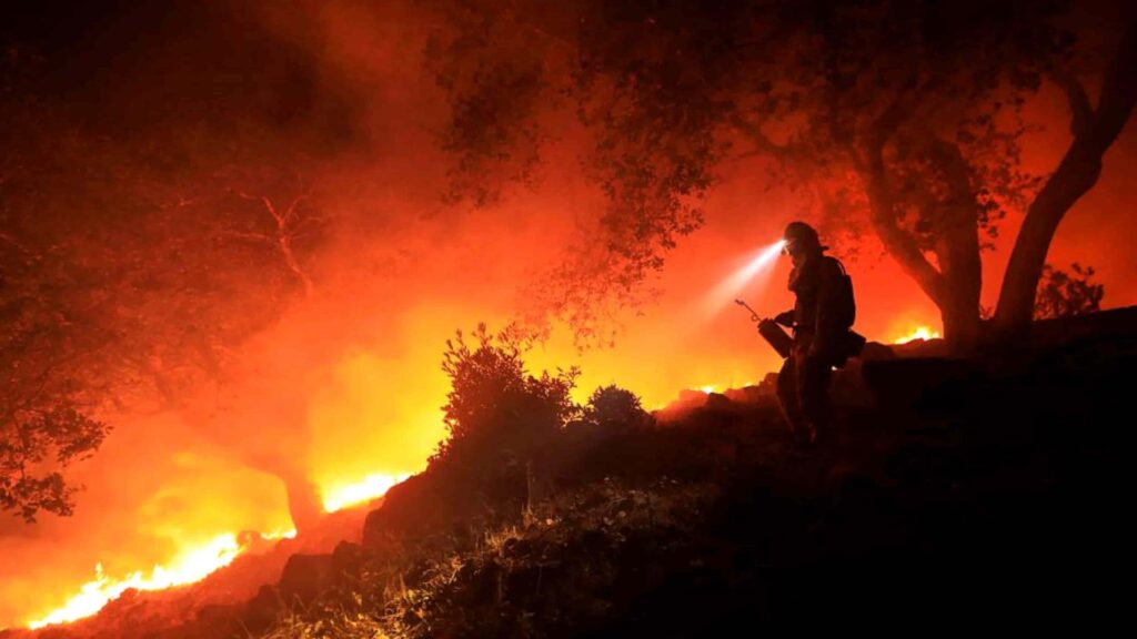 fuego