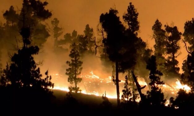 Más de un tercio de las provincias son afectadas por incendios forestales
