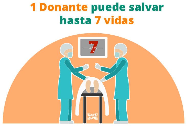 Día Mundial de la Donación de Órganos