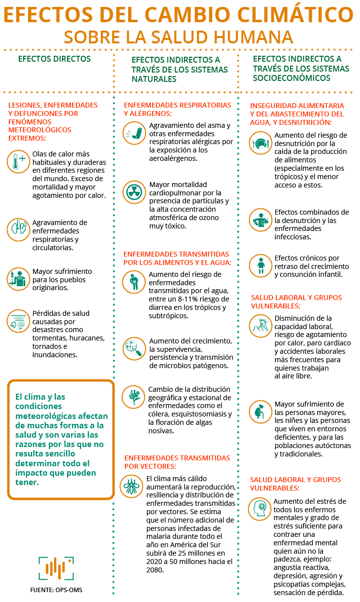 Infografia 06