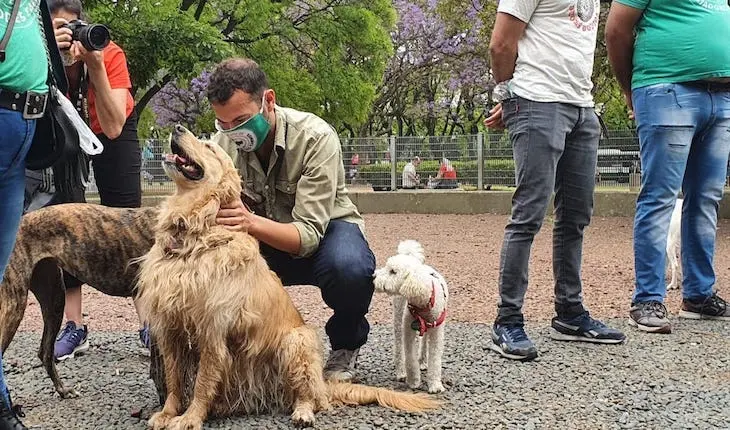 3 Tcaninos Fuente Matias Tomsich Belen Mogno