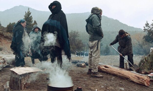 Pueblo Mapuche: la diferencia entre tomar tierras y recuperar territorios
