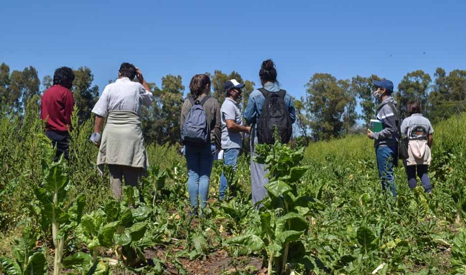 agroecología