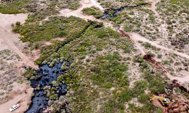 Río Negro: preocupación por daño ambiental a raiz de un derrame petrolero