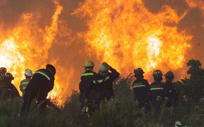 Misiones en llamas: Continúan los incendios forestales
