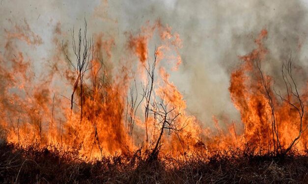 La sequía y el calor generan nuevos focos de incendio en Corrientes