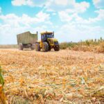 Santa Fe: se declaró la emergencia agropecuaria por el impacto de la sequía