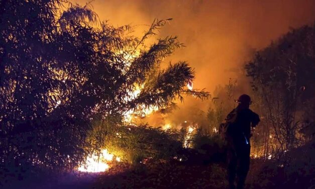 Incendios forestales: declaran la emergencia ígnea en todo el país por un año