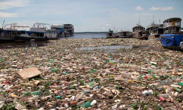 Los plásticos ya contaminaron todos los océanos