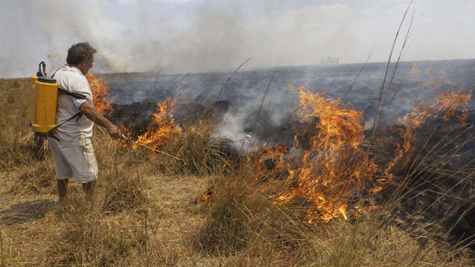 Incendios en Corrientes