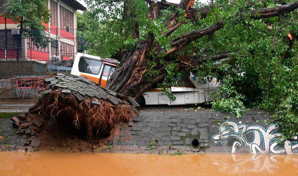 Carl de souza AFP