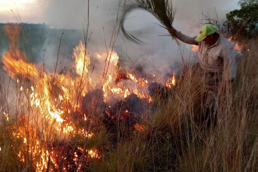 Incendios en Corrientes