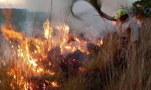 Incendios en Corrientes: sequía, cambio climático y desidia política