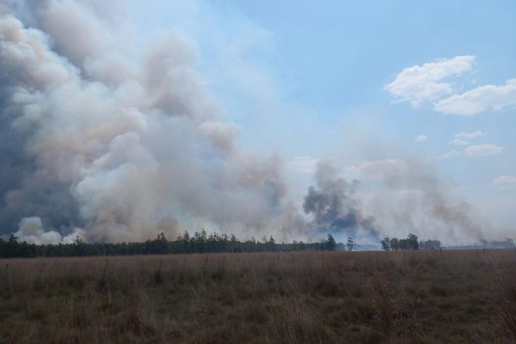 Incendios en Corrientes