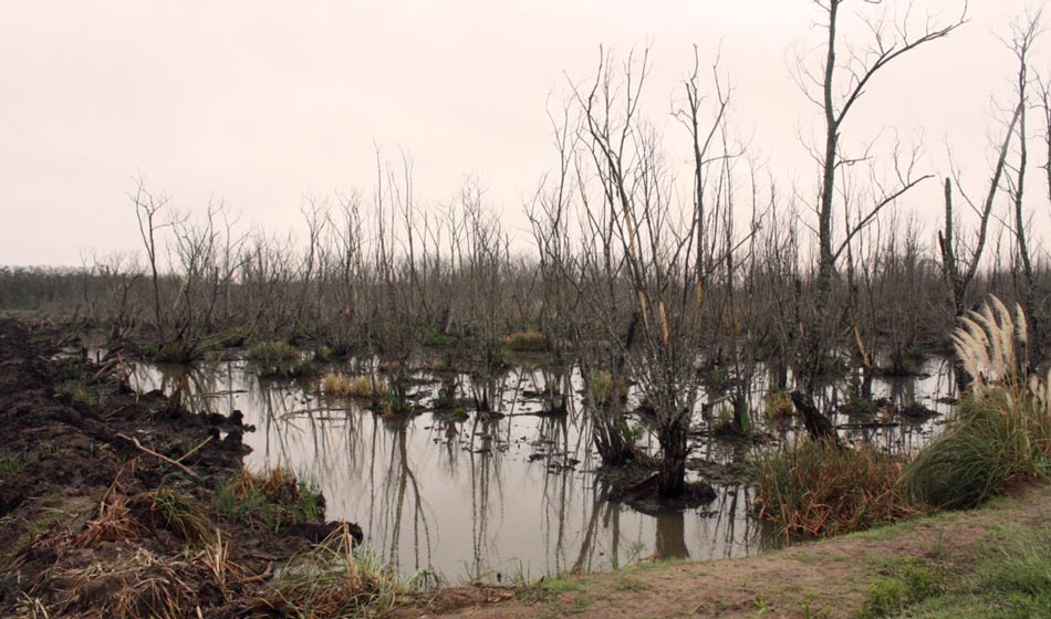 2 Foro Regional en Defensa del Rio de la Plata la Salud y el Medio Ambiente