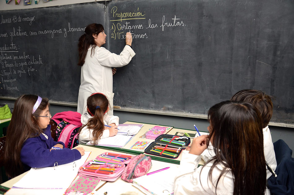 Estatuto docente