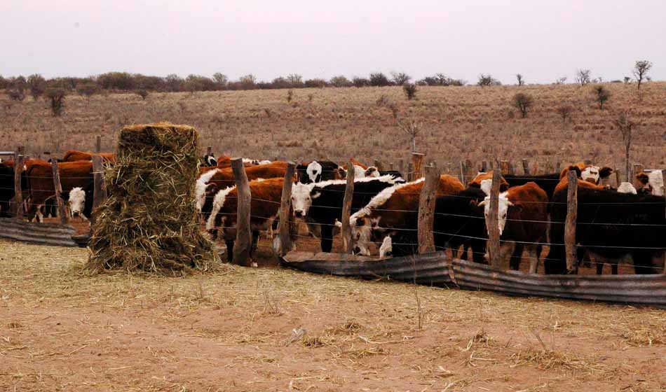 DESTACADA rural al dia