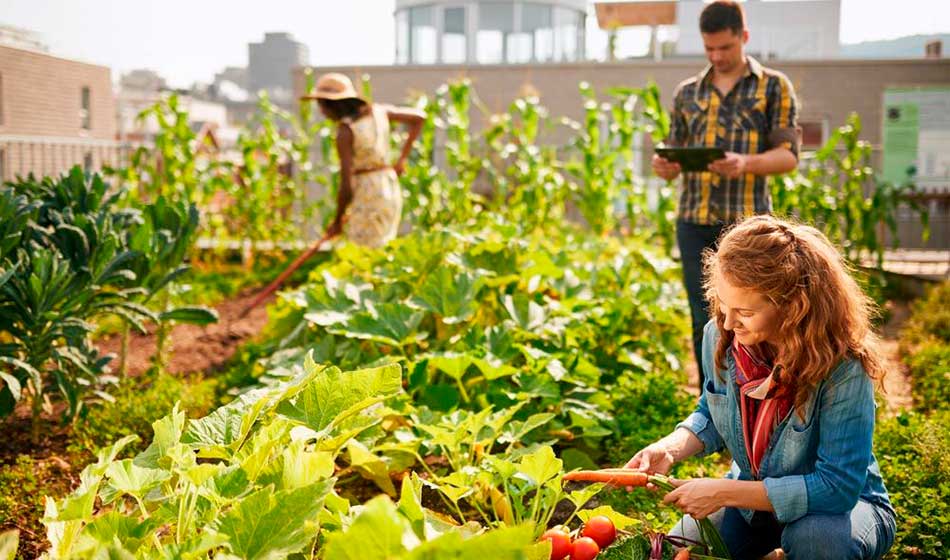 huertas agroecológicas