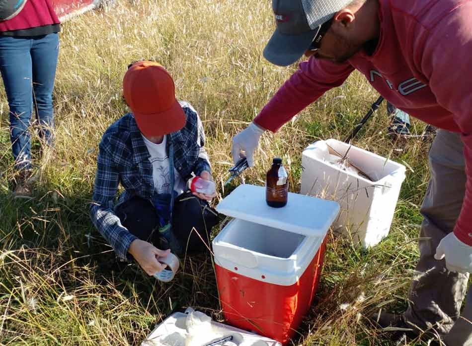 Baradero sin agrotoxicos 1