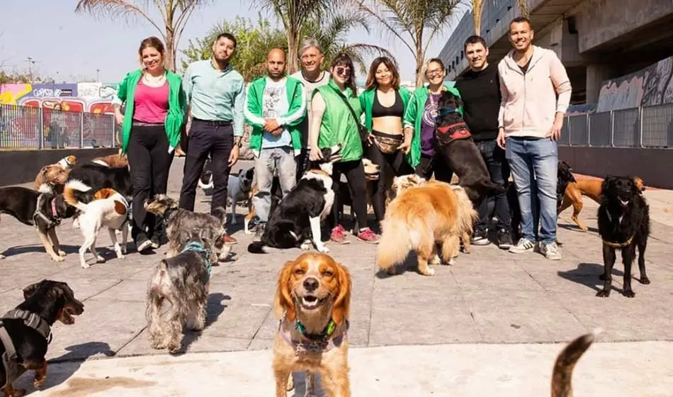 CABA: muchos perros y pocos caniles 1 Sindicato paseadores caninos1 Periodismo Franco