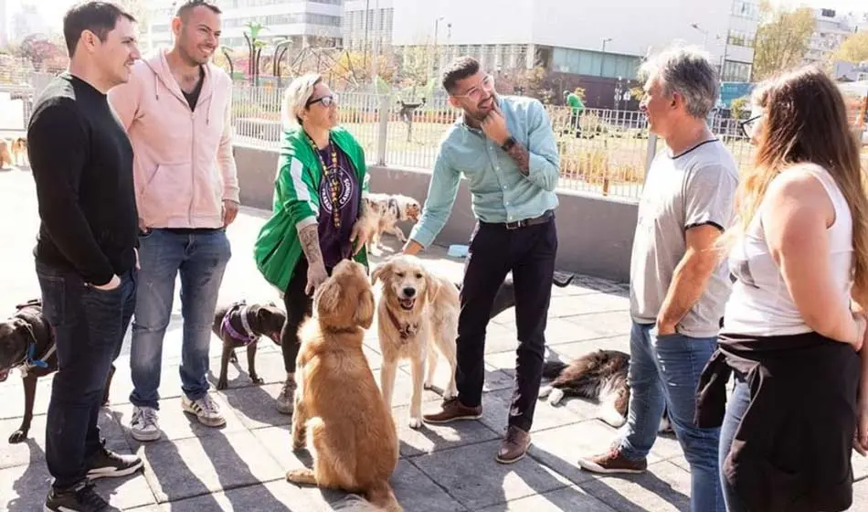 CABA: muchos perros y pocos caniles 3 Sindicato paseadores caninos2 Periodismo Franco