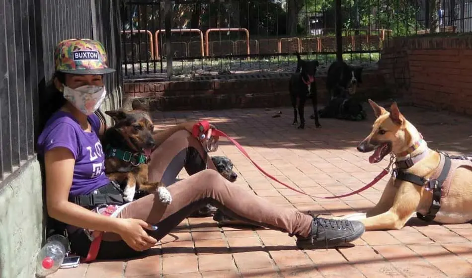 CABA: muchos perros y pocos caniles 2 silvia soledad sosa instagram Periodismo Franco