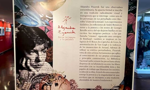 Entre la imagen y la palabra: un portal al universo de Alejandra Pizarnik