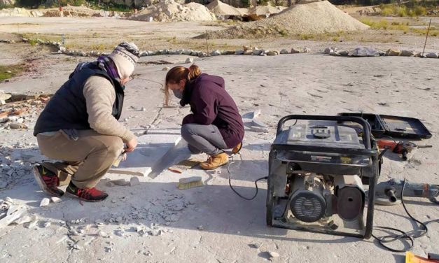 Como pez en el agua: investigadores hallaron rastros fósiles en Batán