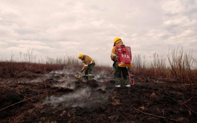 El fuego en el Delta arrasó 170 mil hectáreas en 120 días