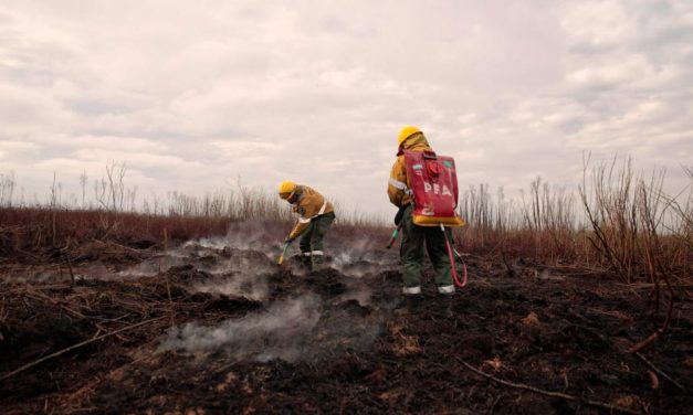 El fuego en el Delta arrasó 170 mil hectáreas en 120 días