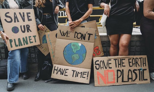 COP 27: ¿cuáles son las novedades que se esperan para este año?