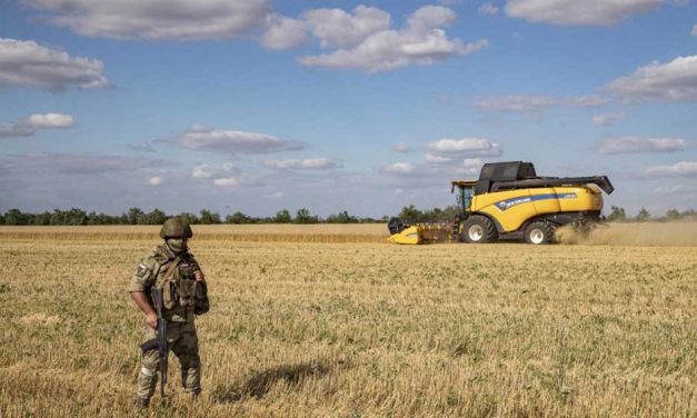 Rusia retomó el pacto de exportación de granos desde Ucrania