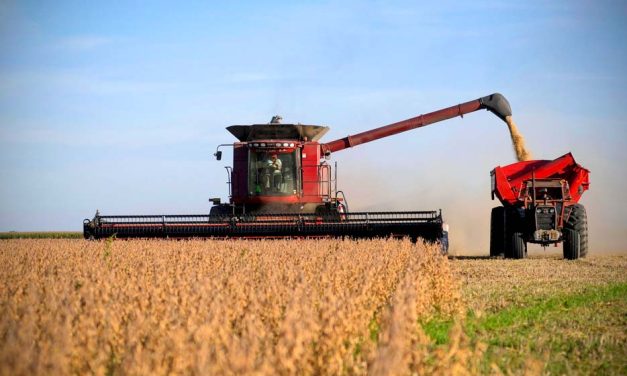 El sector agroexportador devolvió gentilezas: liquidó 1.000 millones de dólares