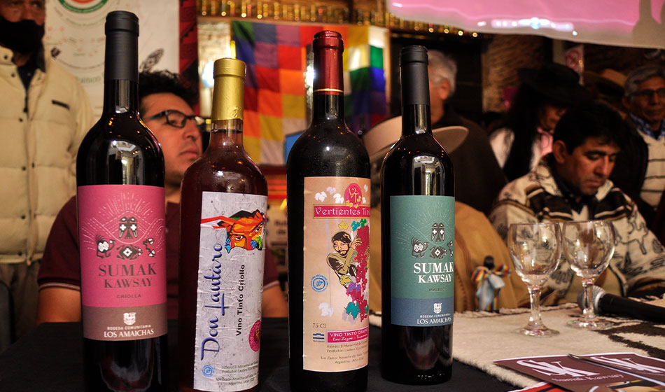 1 VINOS FOTO UNO PARA ABRIR FEDERICO GROBA Alexandra Barreto