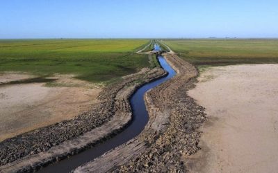 Alarma ambiental por la sequía de la Laguna Mercedita en Corrientes
